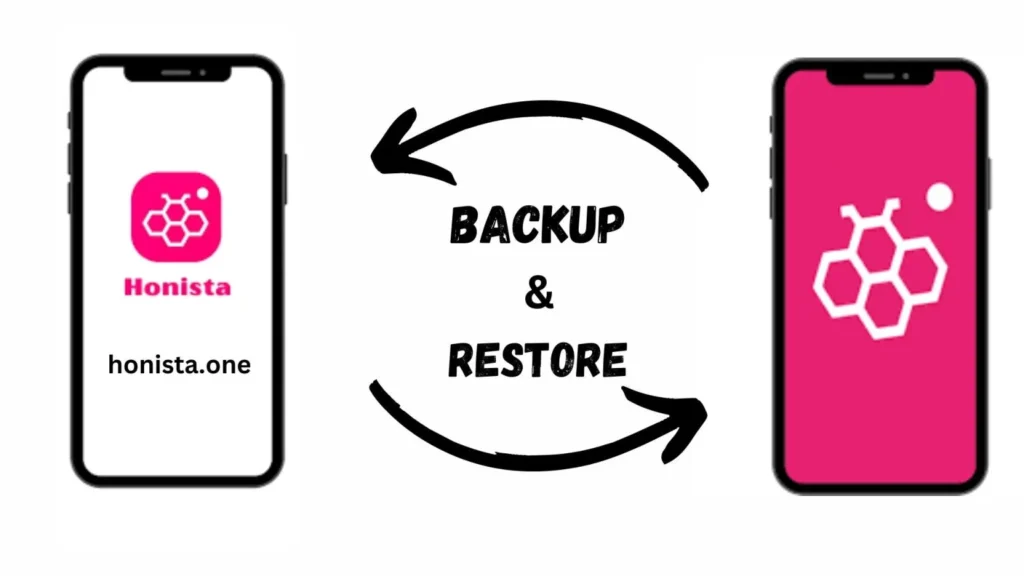 How To 9 Can I BackUp and Restore my Settings in Honista?