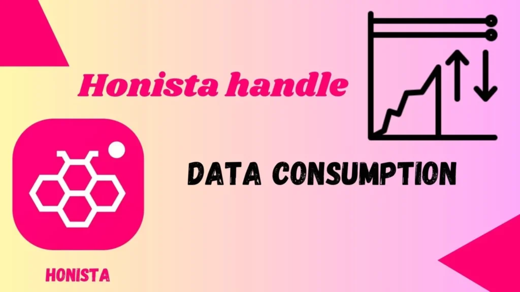 How To 7 How does Honista handle data consumption?