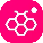 Disclaimer & Terms and Conditions